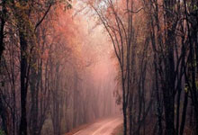 178体育官网：国际轮滑马拉松巡回赛上海站开赛.