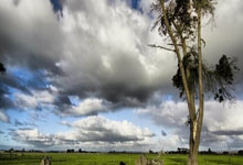 178体育官网：[CBA]全明星周末长春上演.