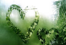 多特蒙德欧冠不敌博洛尼亚 主帅沙欣被解雇.