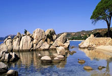 邮报：由于国际比赛日，纽卡预计赛季末才举行英联杯夺冠游行.